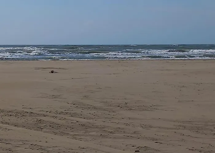 Sopraland 515, T2 Parking Piscine, 200m Agde